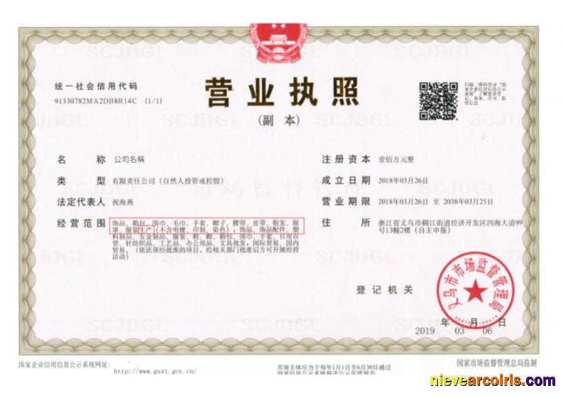 China Business License